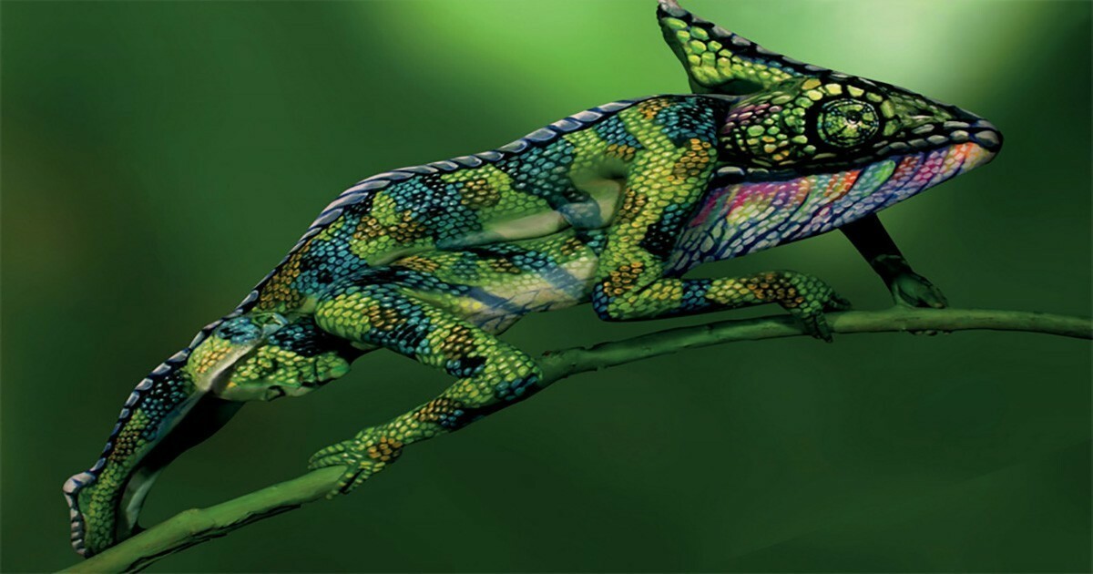 LOUIS VUITTON Curiosity Animals - Chameleon Visual - London creative agency