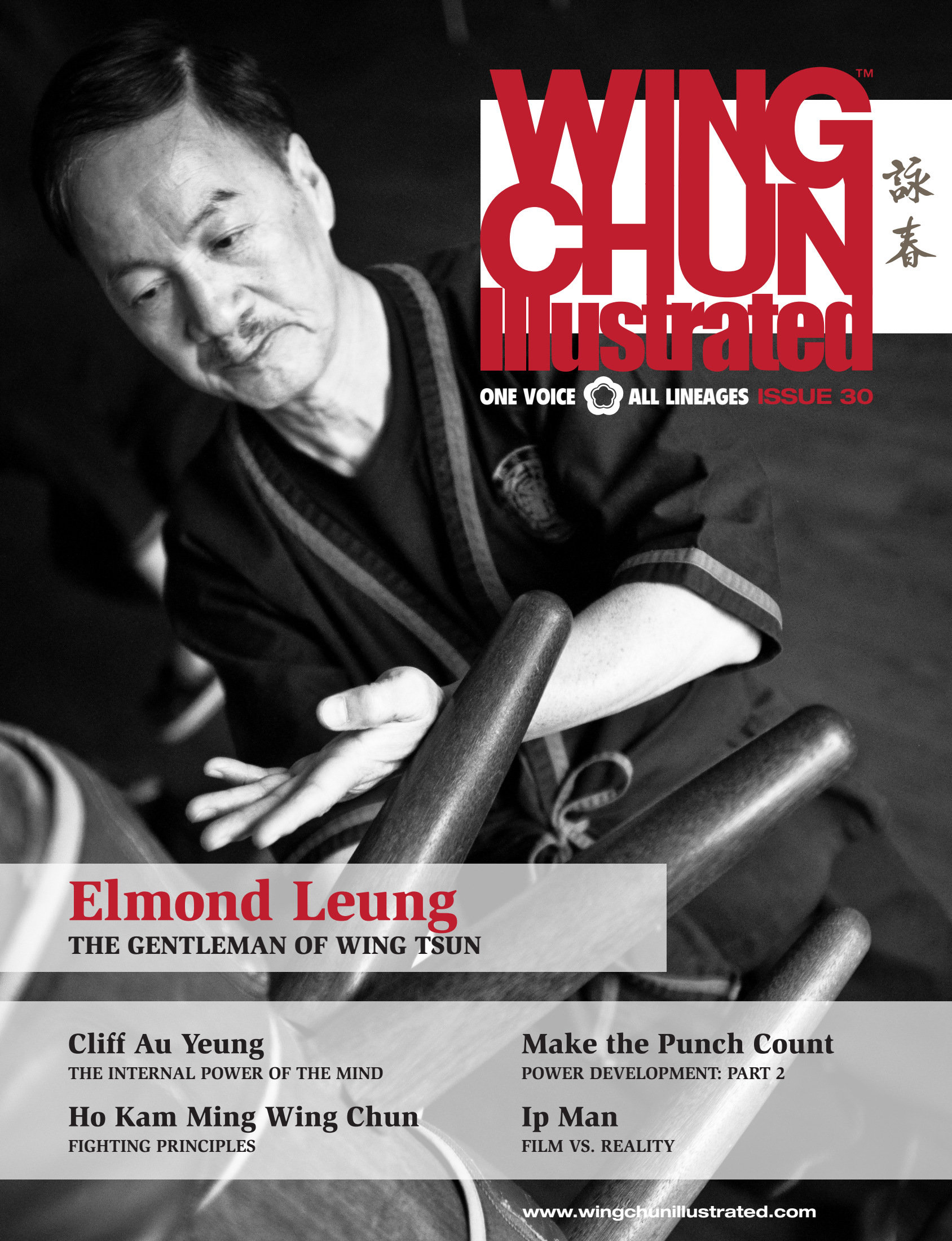 wing chun illustrated magazine pdf download