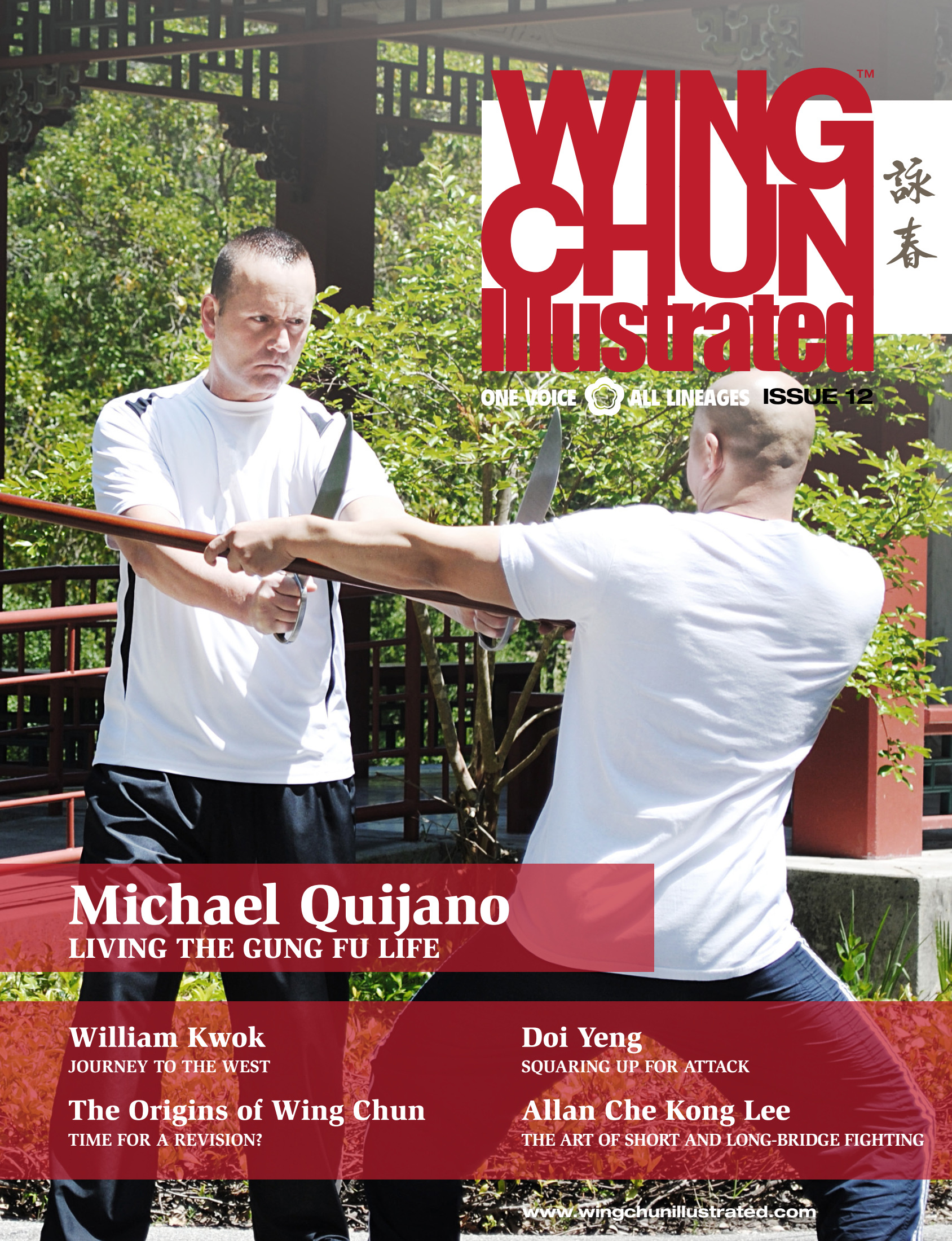 wing chun illustrated download