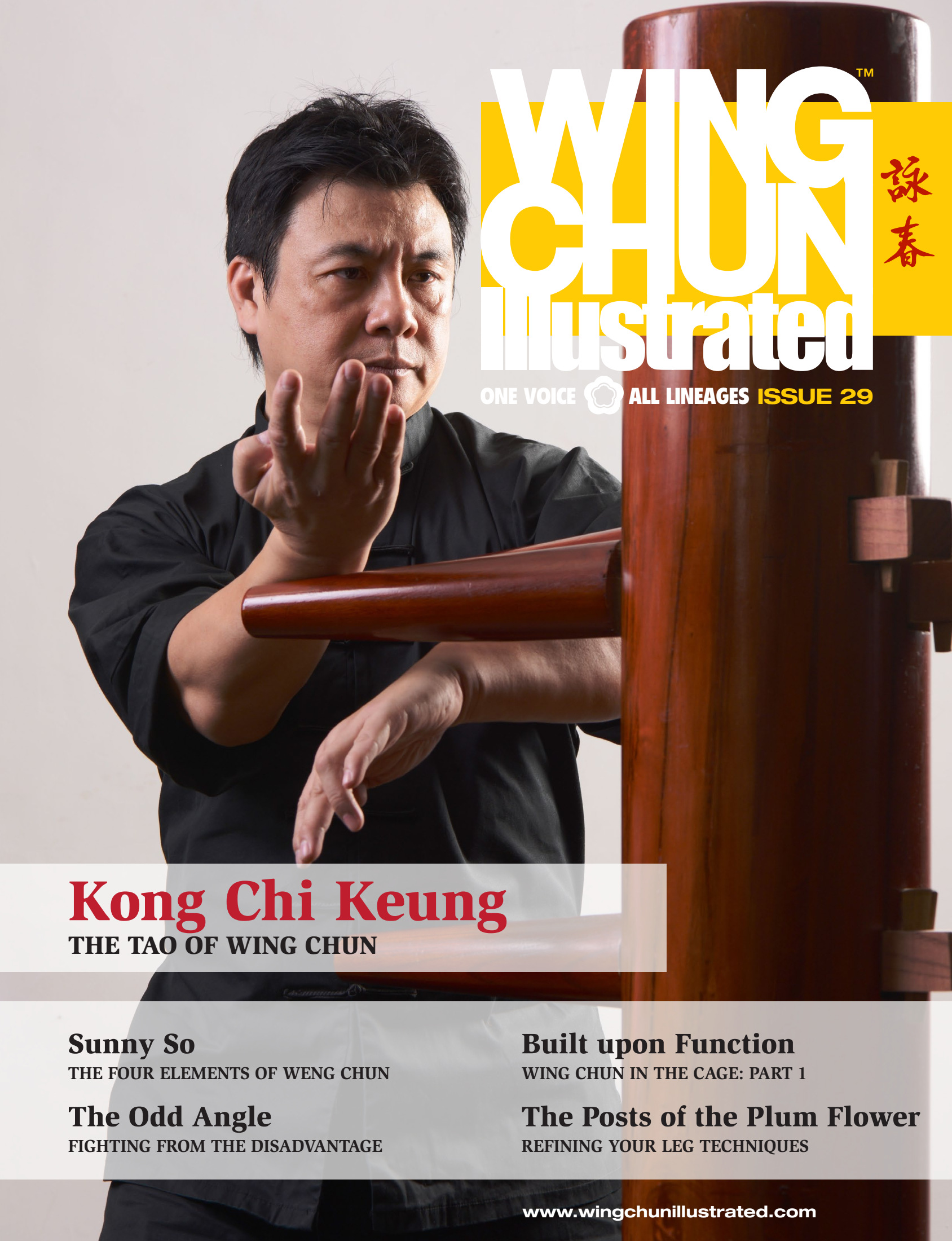 wing chun illustrated download