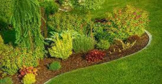 Landscaping Tamworth