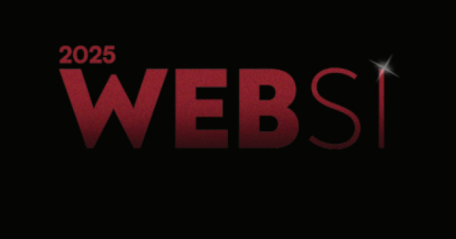 WEBSI Digitalni presežki Slovenije 2025