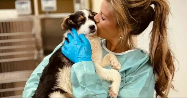 Romania Animal Rescue Launches Three-Day Spayathon to Address the Local Stray An