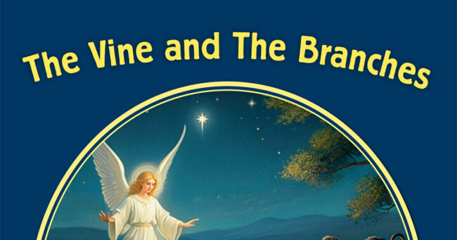 The Vine & The Branches - Reception Book